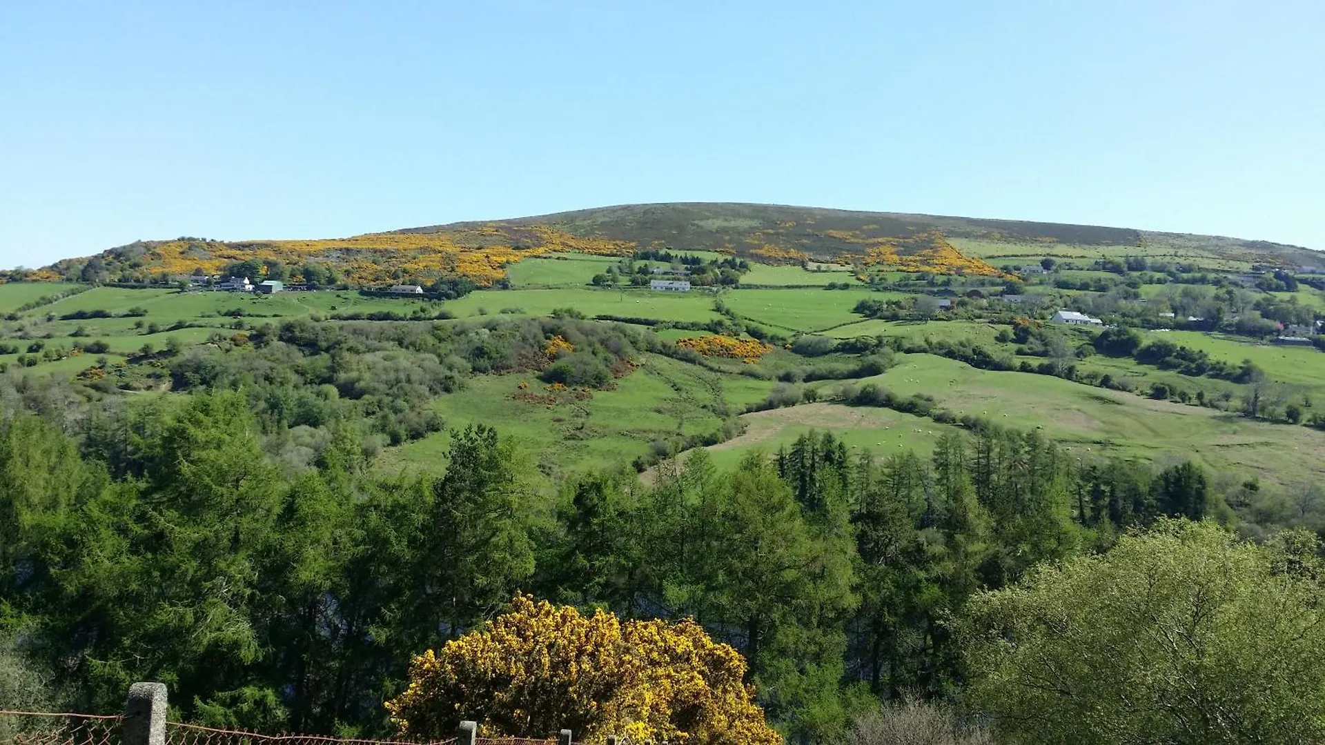 Barnoaks House - Private Room Ensuite Bathroom Homestay Dublin